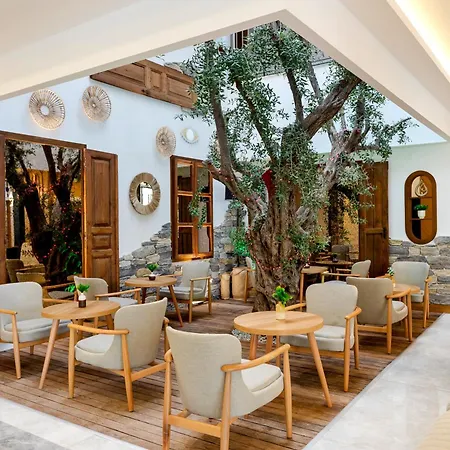 Uno Elegance 酒店 居吕克