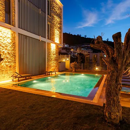 Uno Elegance * 居吕克